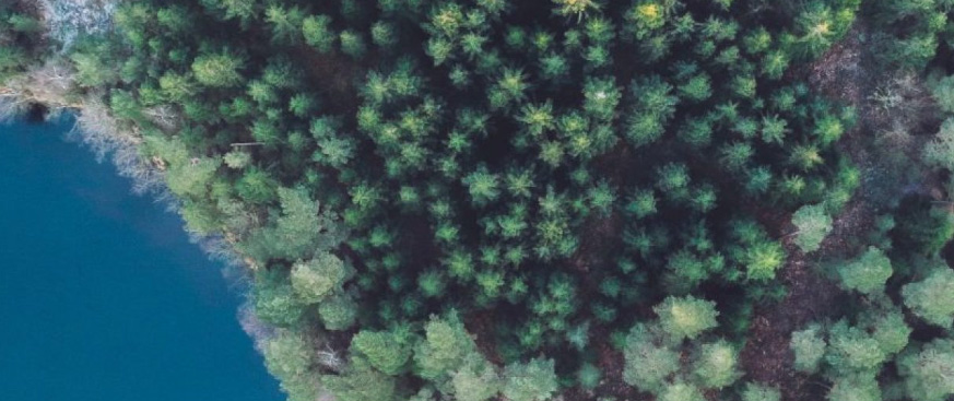 The Nordic model: Outperformance in private equity