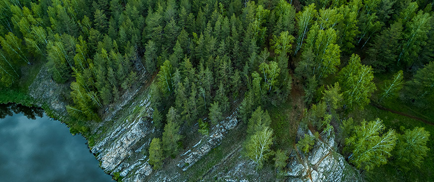 Expanding the efficient frontier with natural capital investments