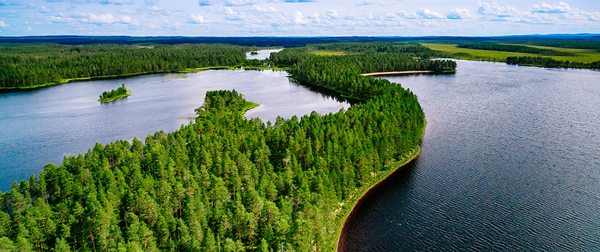 Investing in the power of nature