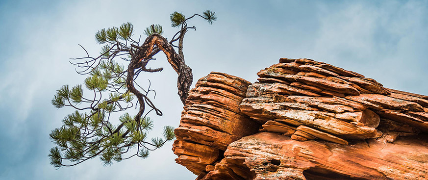 The resilient U.S. economy puts stocks on solid footing