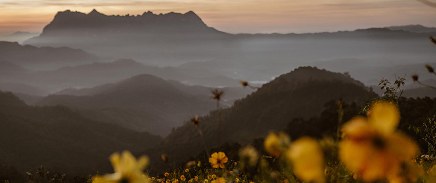 The continuing evolution of investment stewardship