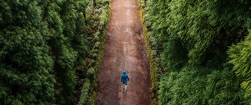 How carbon markets bolster timberland investing