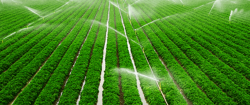 Regenerative agriculture: definition, implementation, and impact