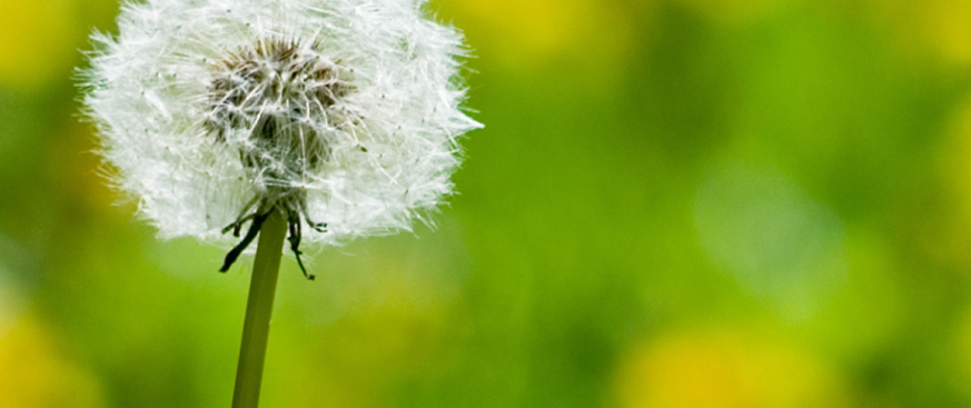 Fight the urge (to invest in the familiar)