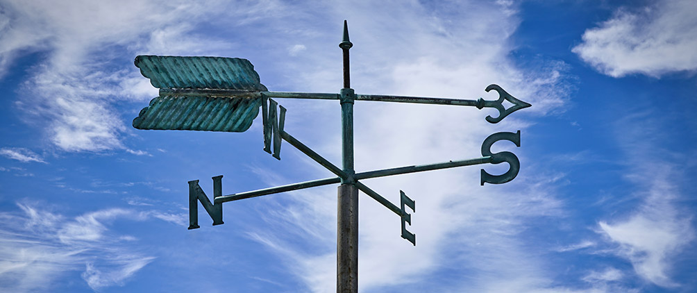 Trade Winds: July 2024