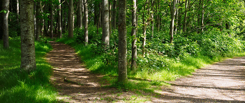 The dividends of policy divergence