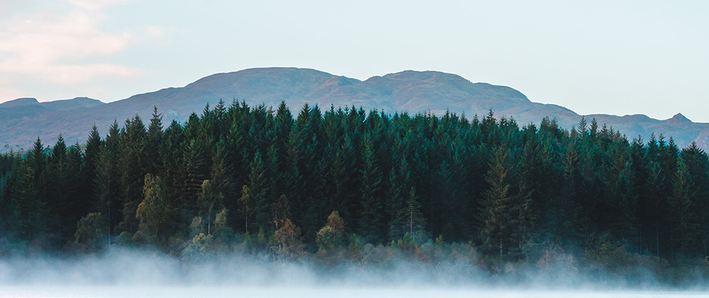 Global GDP Themes and Forecasts