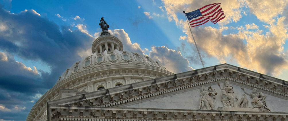 Beyond the ballot: the real drivers behind stock market performance