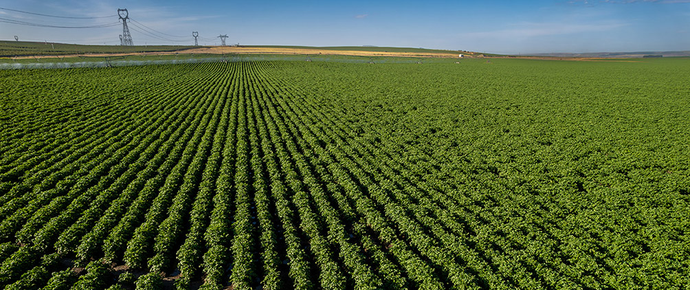 Regenerative agriculture: optimizing outputs