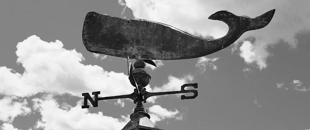 Trade Winds: March 2025