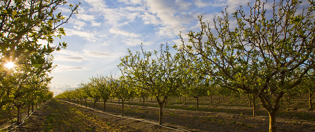 More innovation on the horizon for private markets