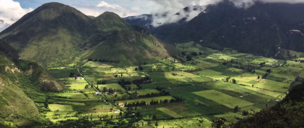 Private-credit-insights-4q24