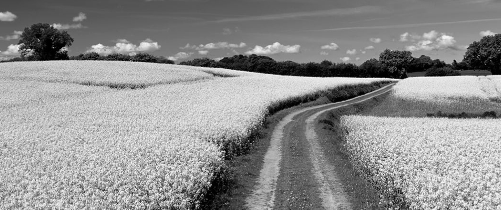 Fraternal Investment Portfolios: Walking a Different Path