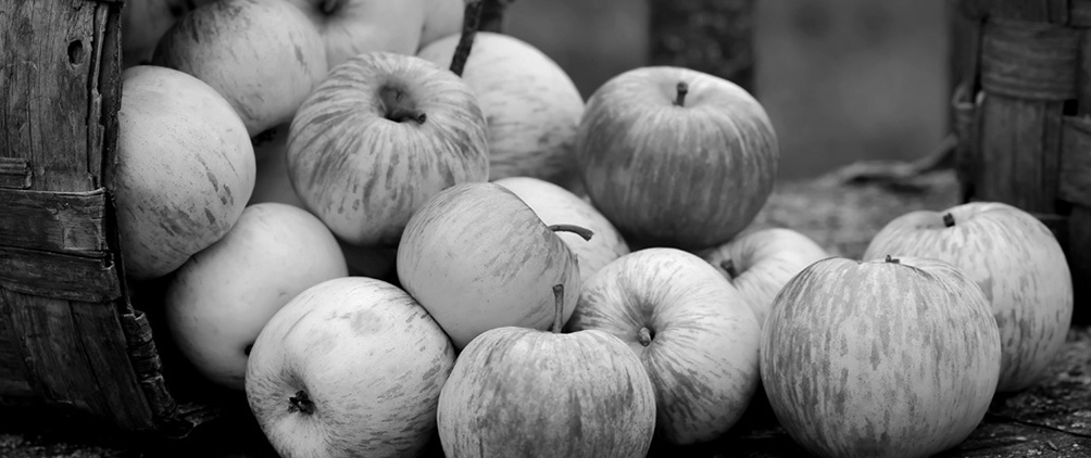 2024 Fixed Income Yields and Returns...and Beyond