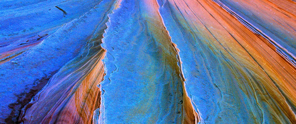 The Year Ahead: Top 5 Private Capital Trends