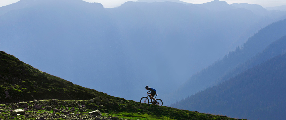 2025 fixed-income outlook: getting ahead of a steepening yield curve