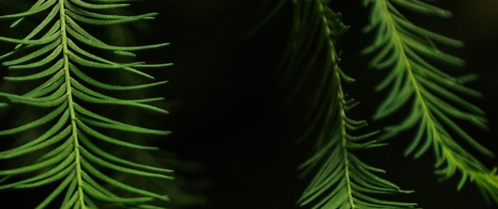 Private debt in an evergreen format