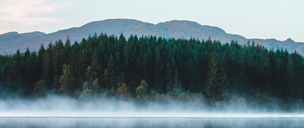 LoomisSaylesFeatured