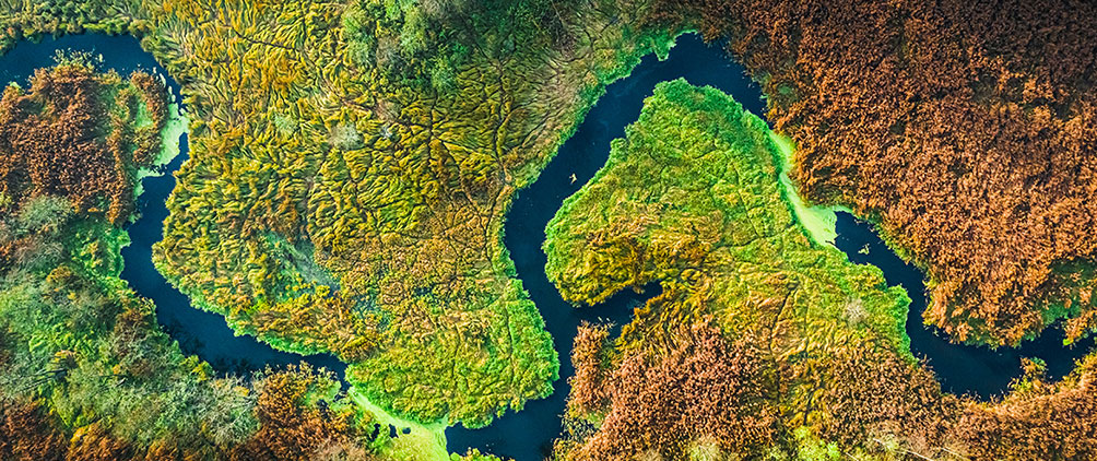 Insurers are creatively investing in a growing asset class: natural capital