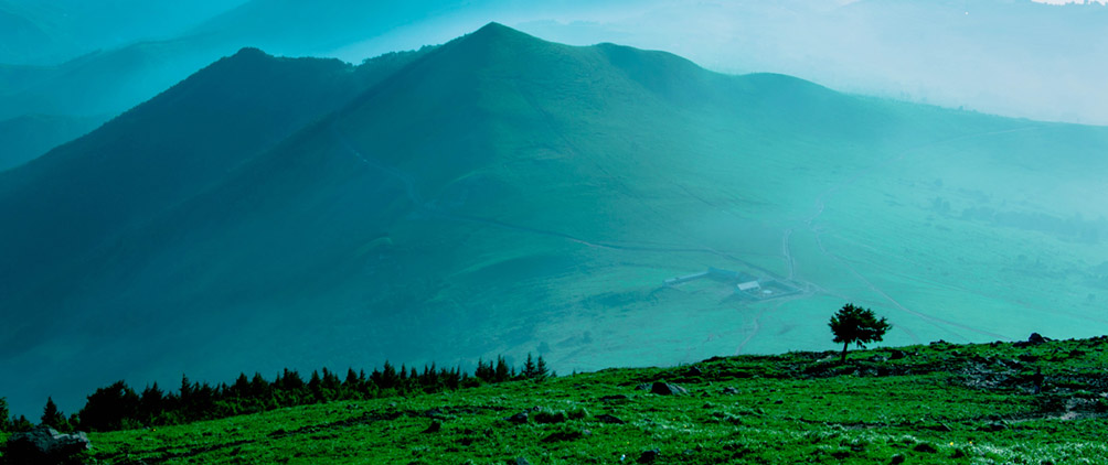 Navigating Through the Fog of the Trade War