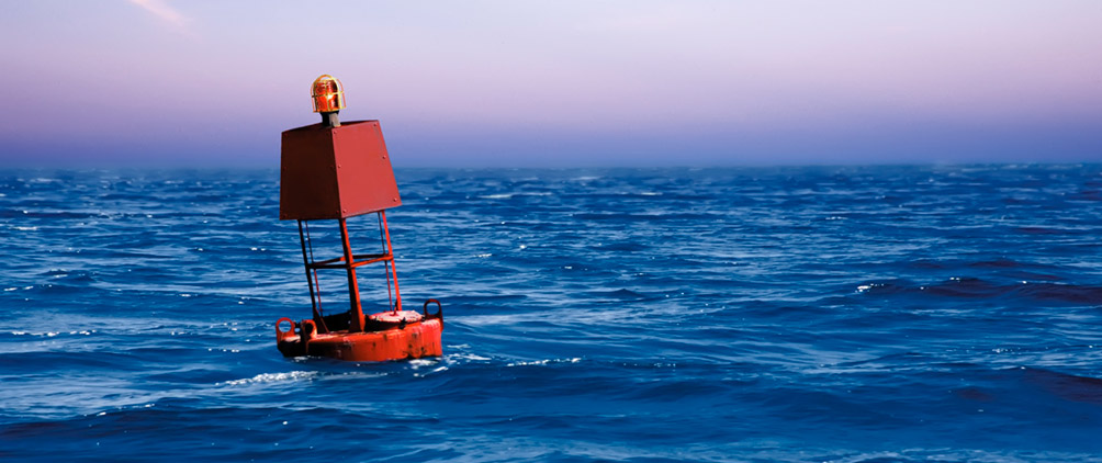 Trump's Policy Reversals Buoy Markets