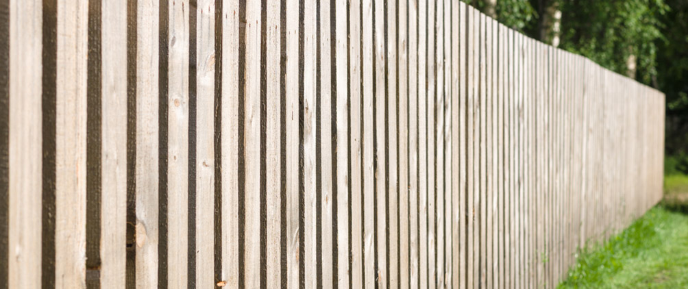 Labor Market Remains Solid, Despite Tariff Uncertainty