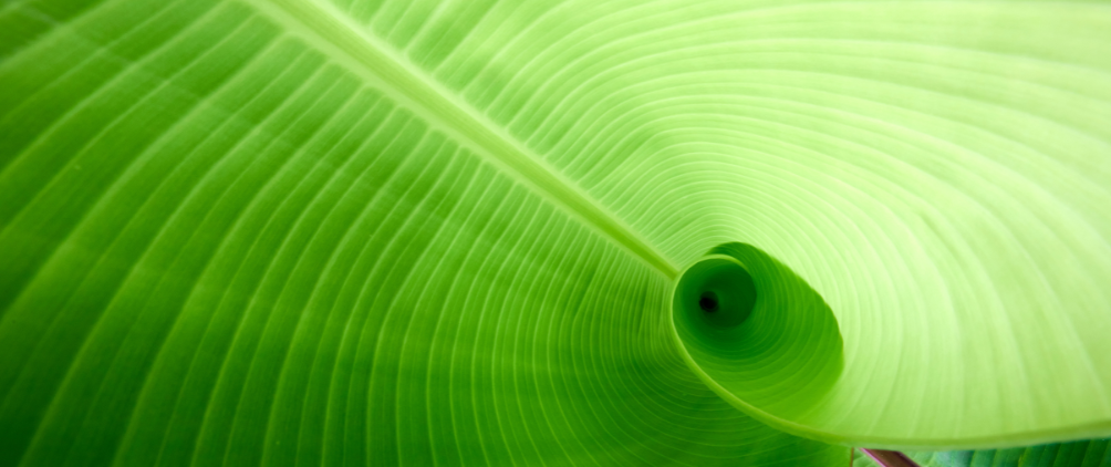 Alternative Credit: Let the Circle Be Unbroken