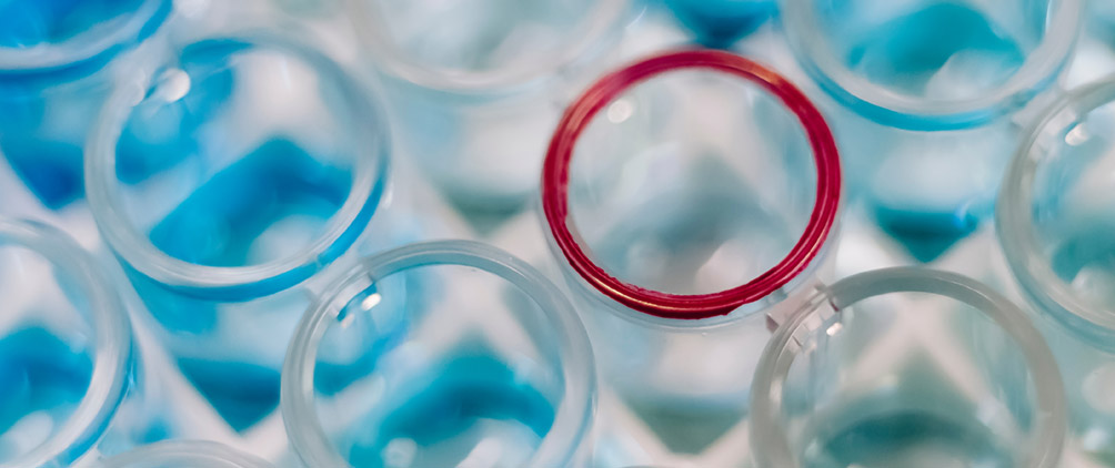 A New Dawn for Healthcare Credit