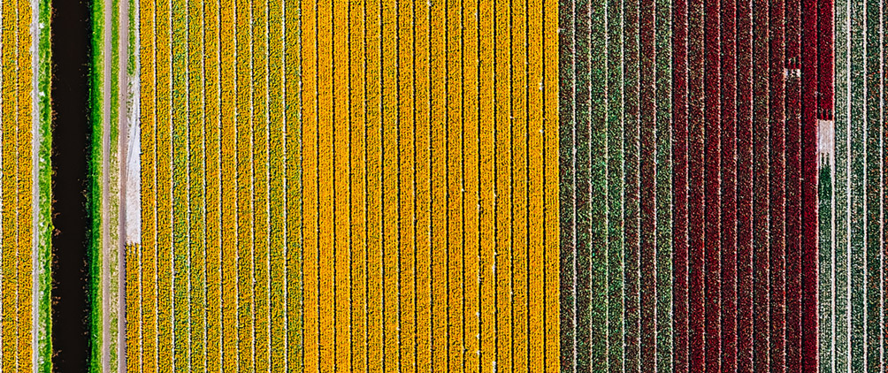 Non-US Equities: An Exception to American Exceptionalism?