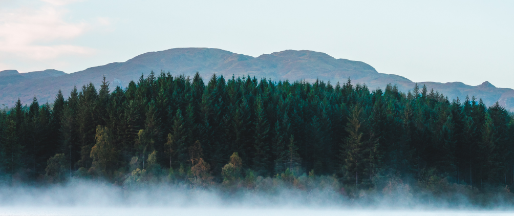 Global GDP Themes and Forecasts Q2 2025