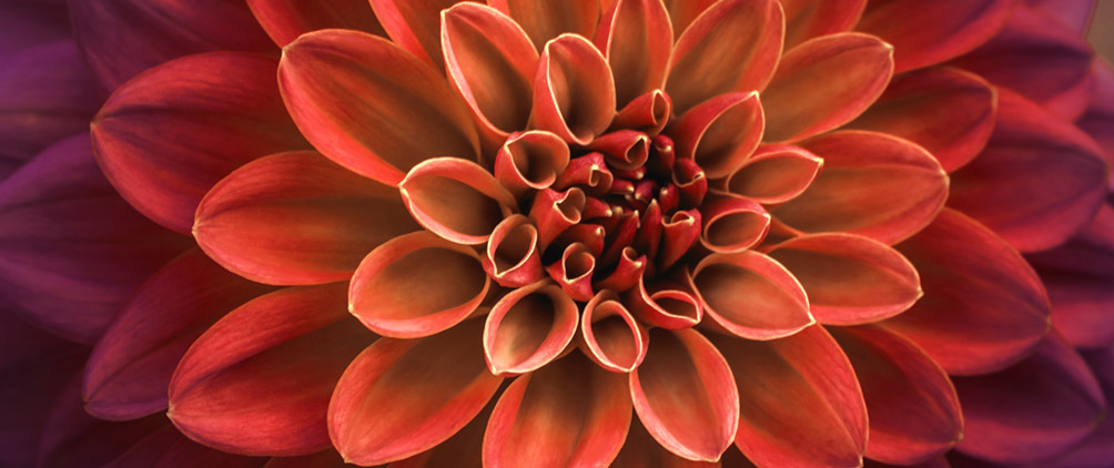 Alternative Credit Review: 2Q25