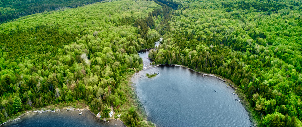 Natural Capital Investing: Combining Economic and Societal Value