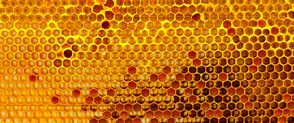4Q25 Market Overview: Kissing the Beehive
