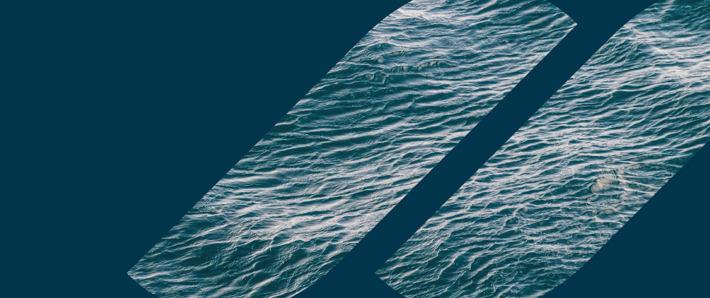 Reinsurance and the Next Phase of Growth in Life and Annuity Markets
