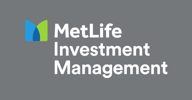 MetLife Investment Management Strategies