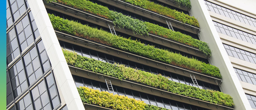 Laying the Foundation: Carbon Neutrality in Real Estate Investment