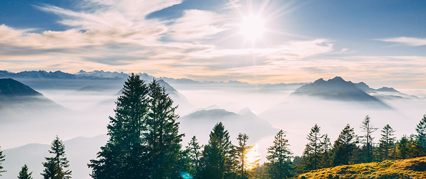 Risk Factors and Total-Return Options for Insurers