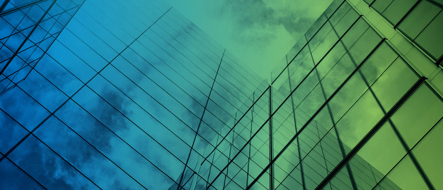 A Very Long Engagement: Asset Allocation Implications of U.S. Life Insurance Risk-Based Capital Changes