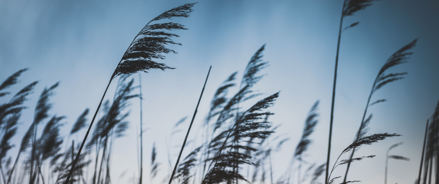 Three Considerations for Insurers Weighing an EM Corporate Debt Allocation