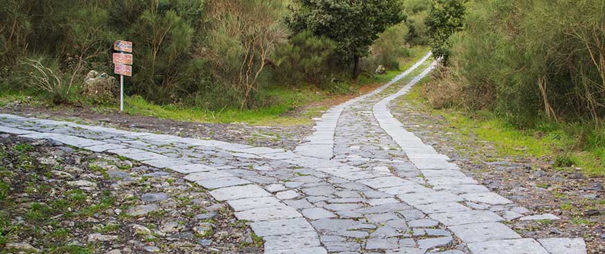 Insurance Multi-Asset Outlook —Strong but slowing growth: A tale of two narratives