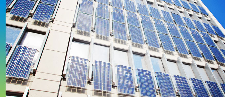 Carbon Neutrality in Real Estate: Strategies for Success