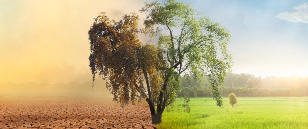 Making an Impact - A Guide for Private Market Investors