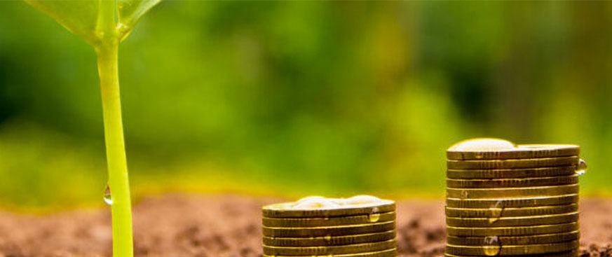 Responsible Investing - Internalizing the Externality