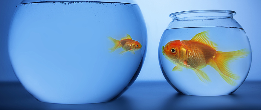 Growth Equity - Feeling the L-O-V-E