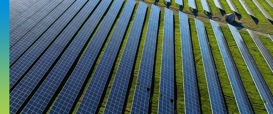 Carbon Neutrality in Real Estate