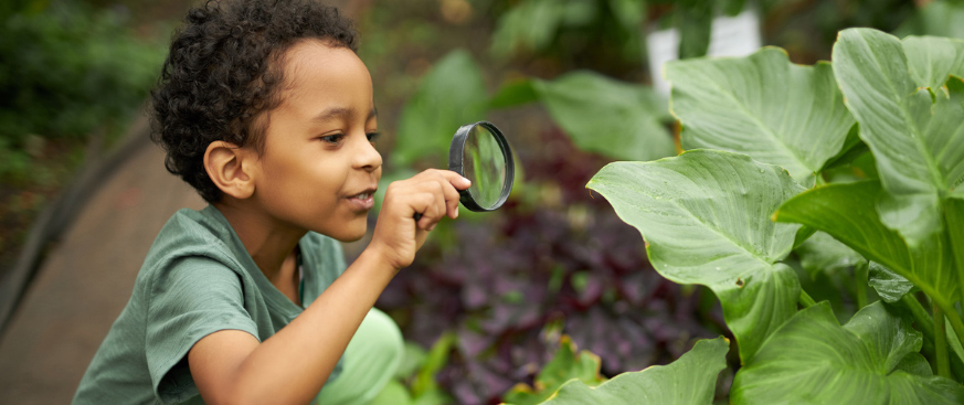 We Don’t Value Nature