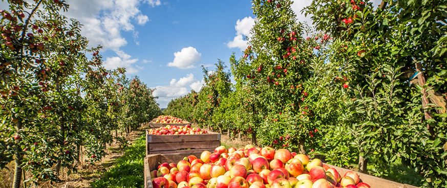 U.S. farmland investment returns: continued gains in 2022