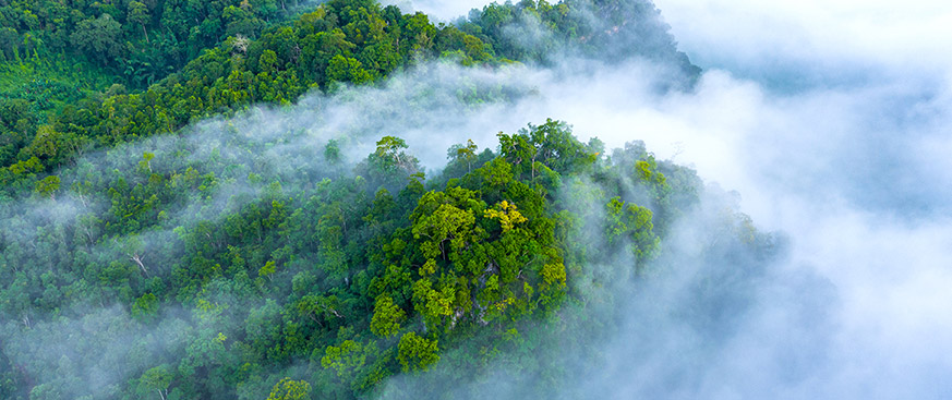 The arc of progress in global carbon markets bends toward integrity