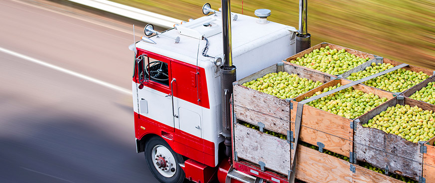 The opportunities and challenges of international trade in agriculture