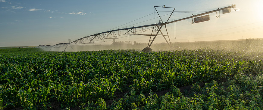 Enhancing farmland value through sustainable improvements